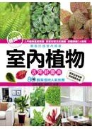 室內植物活用輕圖典